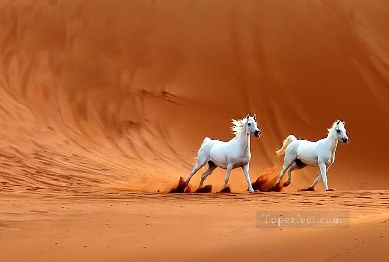 dos caballos blancos en el desierto Pintura al óleo